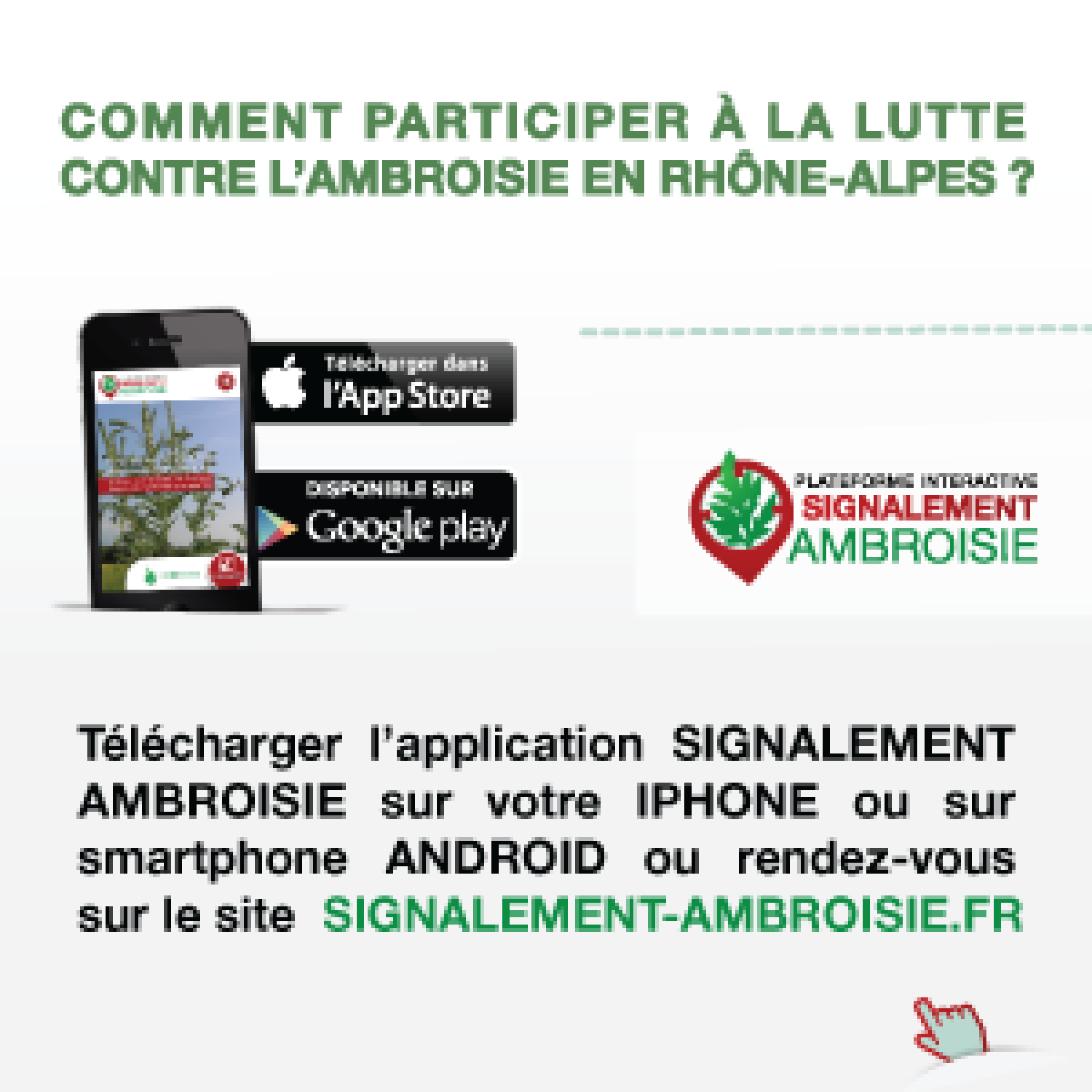 Lutte contre l'ambroisie